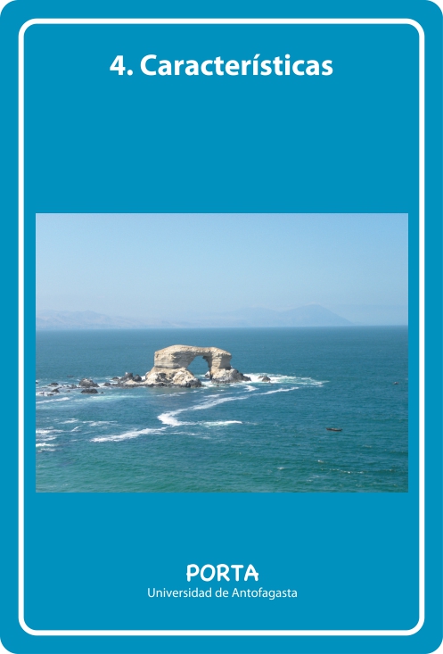 Portada Frontal